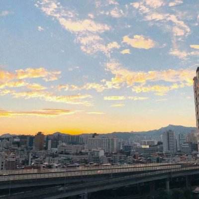 澳门一码一肖一特一中手机app下载