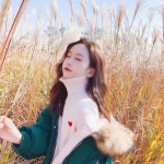 大发国际下载手机版